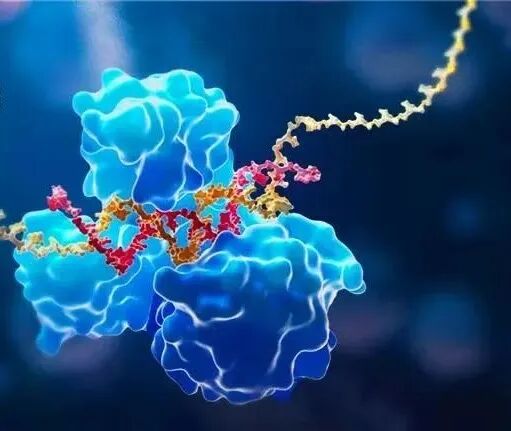 The blood–brain barrier blocks foreign substances from entering the brain (schematic)