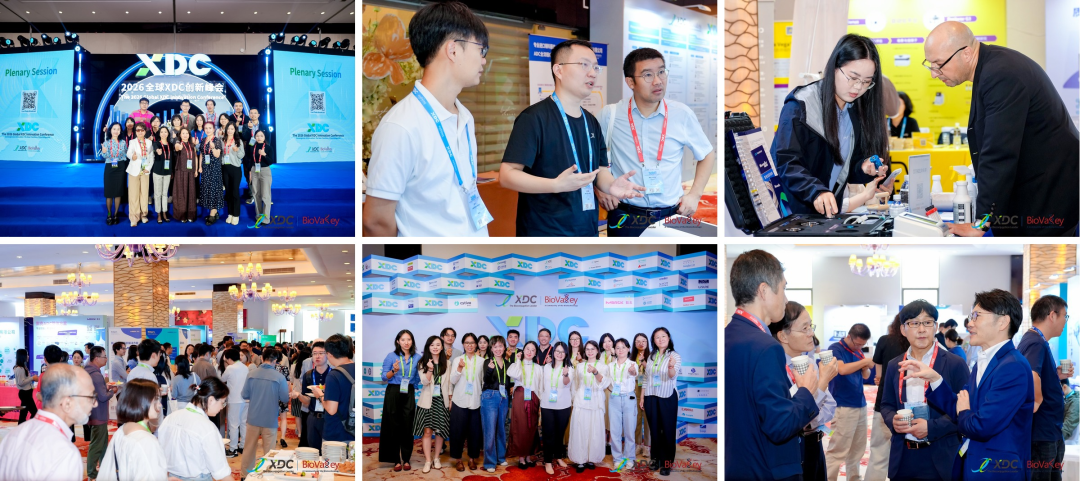 On-site: global XDC innovators gathered for deep exchange and collaboration