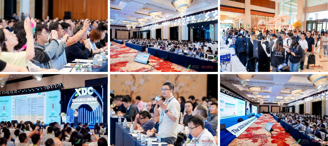On-site at the 2026 Global XDC Innovation Conference in Wuxi