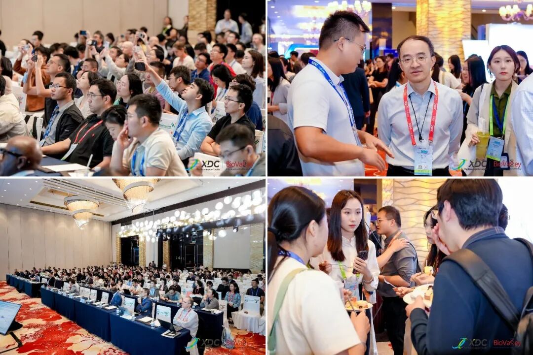 Global XDC 2026 venue, where attendees actively exchanged ideas